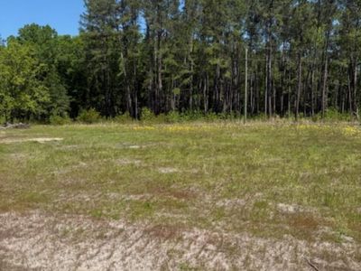 TBD Johnson Rd. , Georgetown, SC 29440