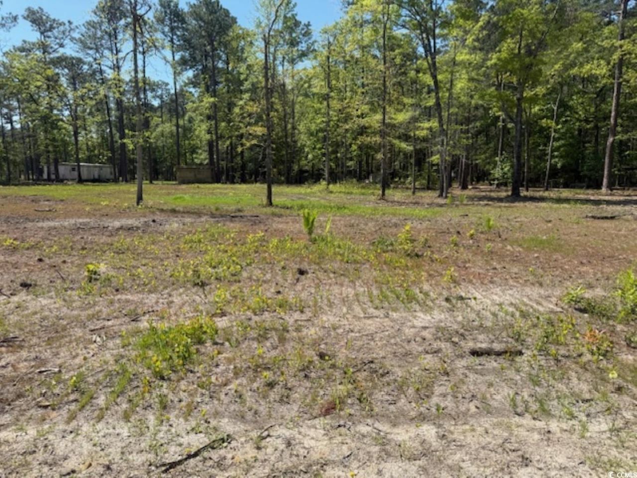 Tbd Johnson Rd.  Photo 5