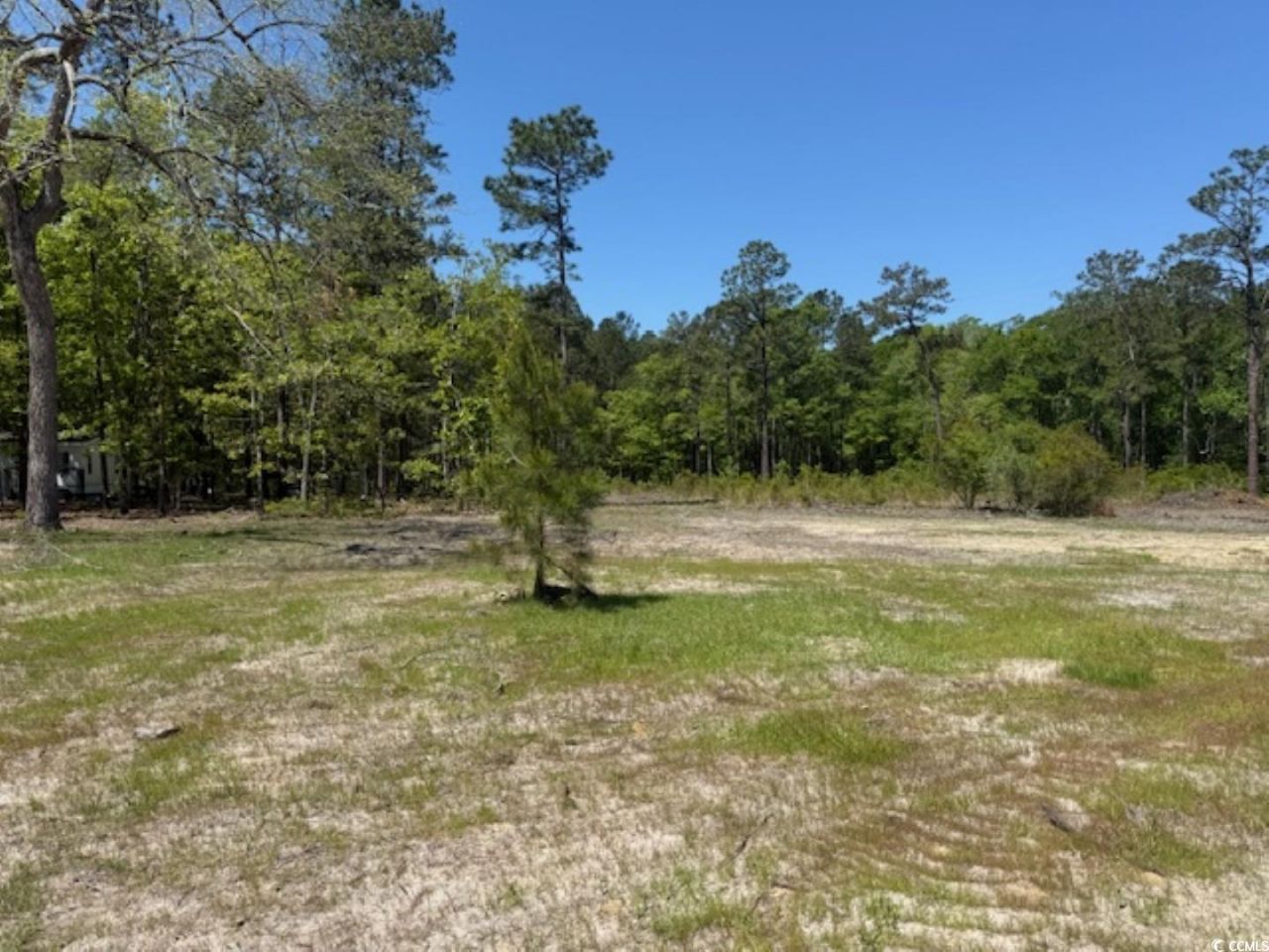 Tbd Johnson Rd.  Photo 7