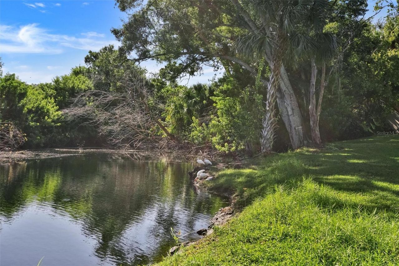 107 Pinehurst Drive, Unit 107, Bradenton, FL 34210 Photo