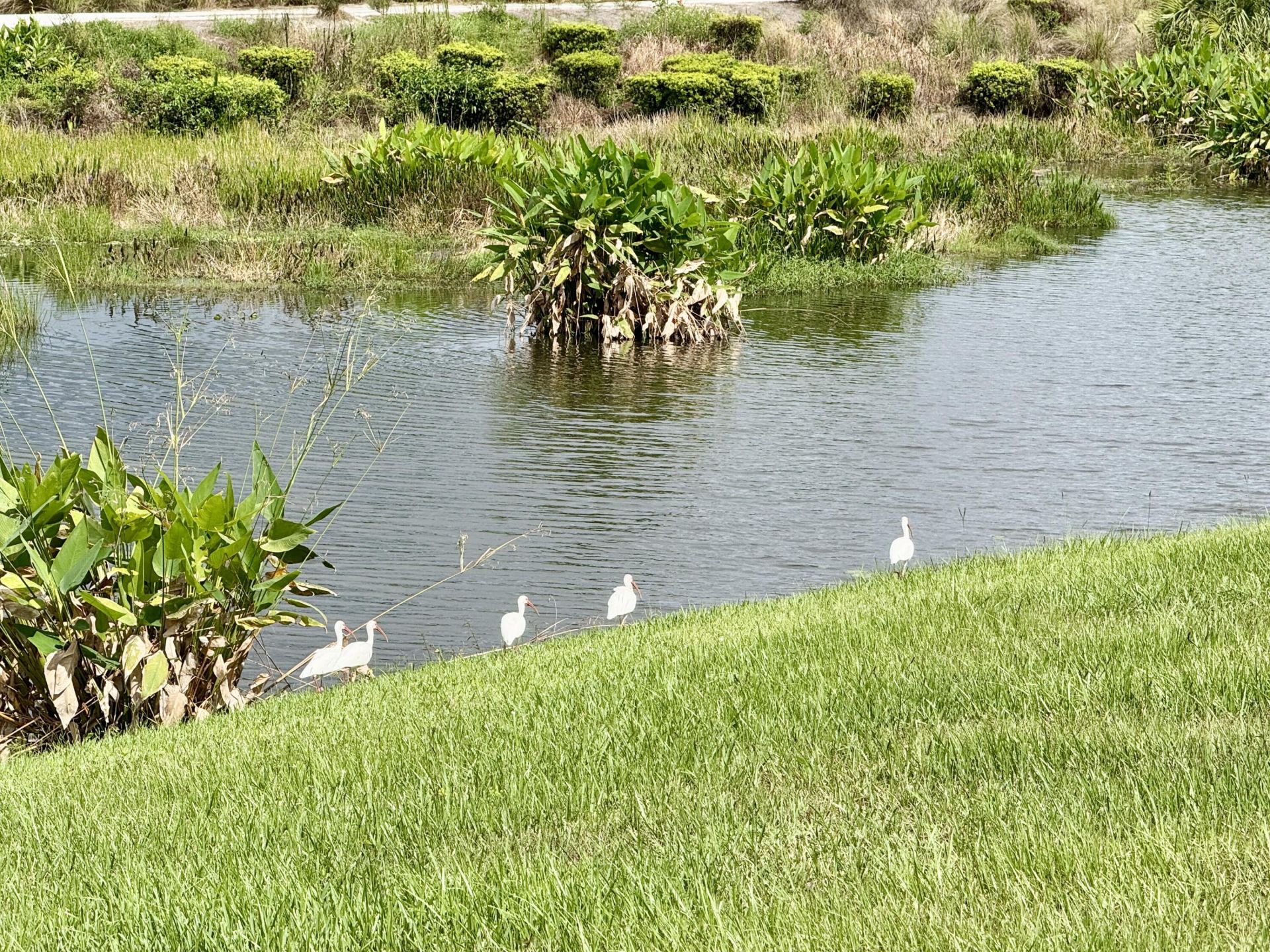 137 SE Mira Lavella, Port Saint Lucie, FL 34984 Photo