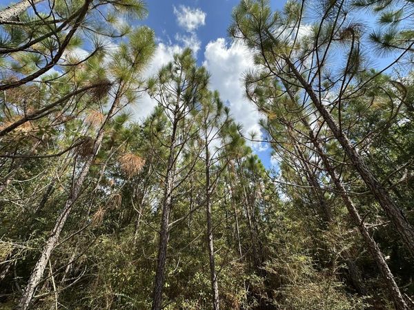 Parcel C New Ebenezer Road, Laurel Hill, FL 32567