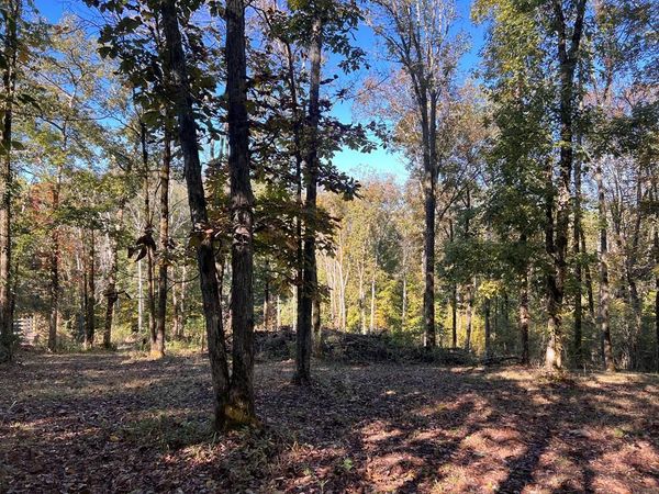 Lot 19 Shoreside Dr, Smithville, TN 37166