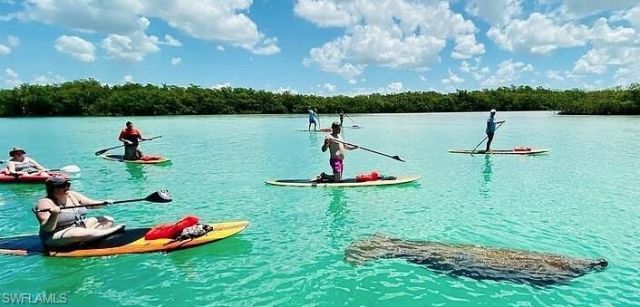 4895 Bonita Beach Rd, Unit 505, Bonita Springs, FL 34134 Photo