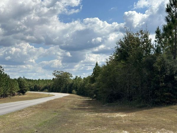 Parcel D&E New Ebenezer Road, Laurel Hill, FL 32567