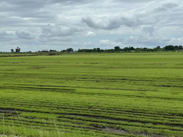 400 State Road 80, Belle Glade, FL 33430