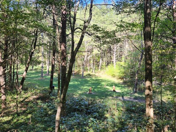 0 Tipple Road, Tracy City, TN 37387