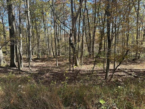 470 Redwood Drive, Terra Alta, WV 26764