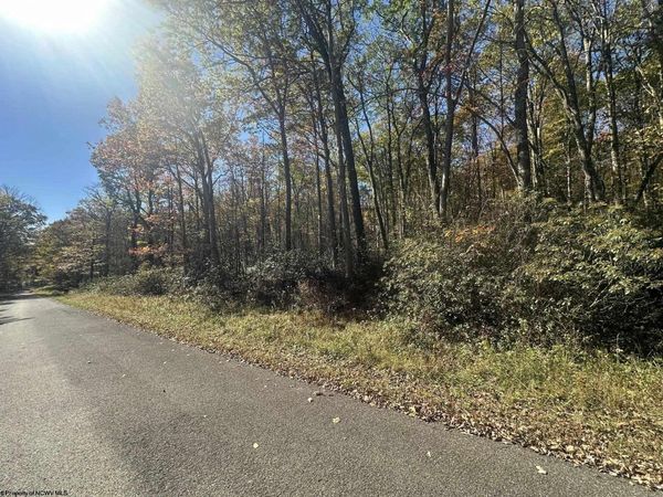 653 Pine Drive, Terra Alta, WV 26764