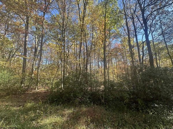 00 Redwood Drive, Terra Alta, WV 26764