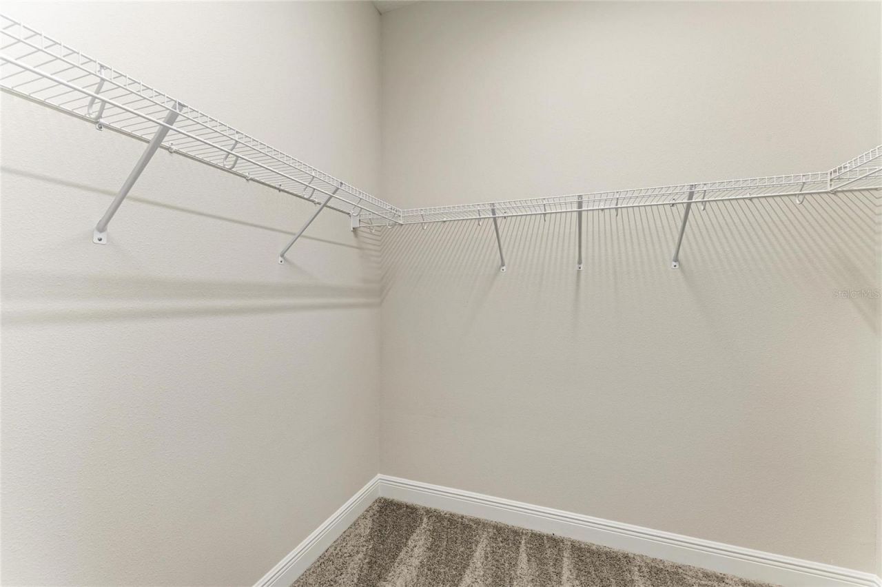 35483 Big Hawk Drive, Zephyrhills, FL 33541 Photo