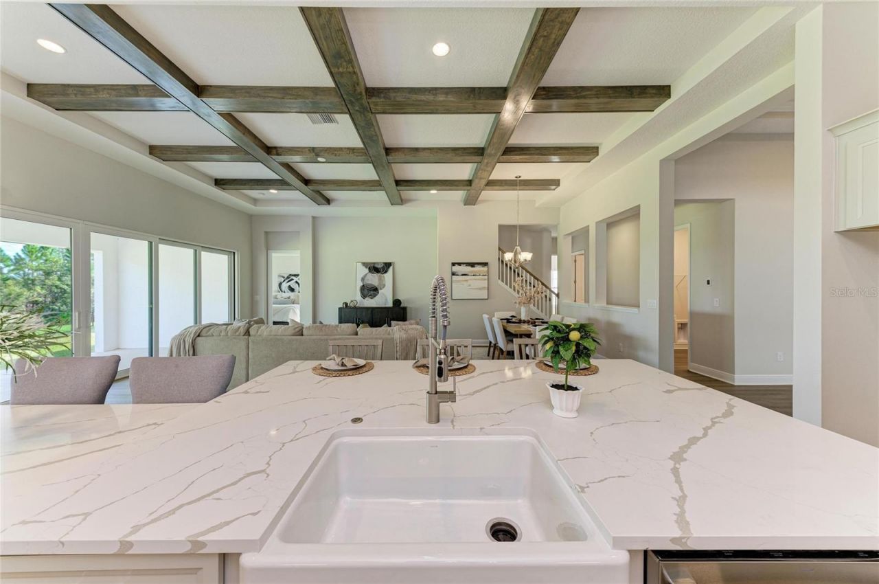 35483 Big Hawk Drive, Zephyrhills, FL 33541 Photo