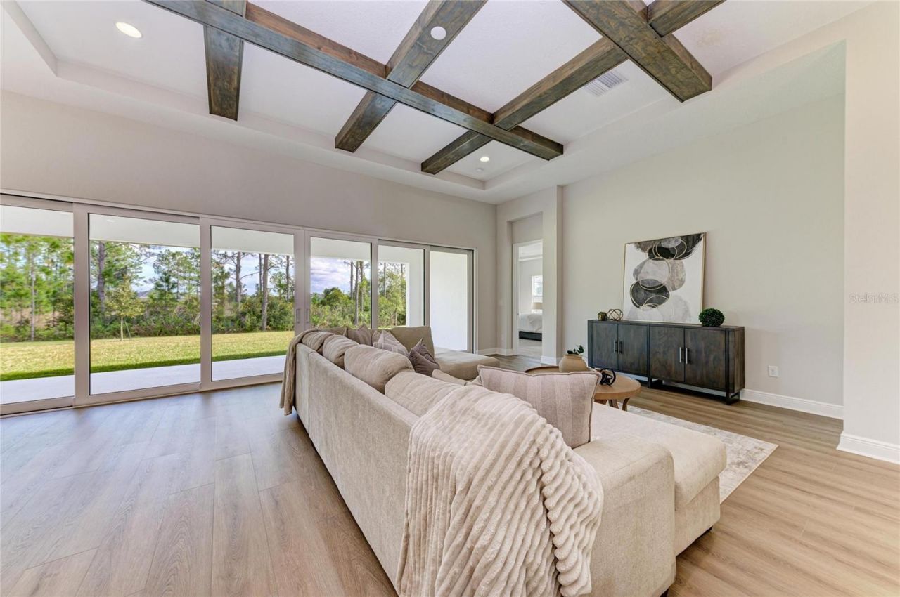 35483 Big Hawk Drive, Zephyrhills, FL 33541 Photo