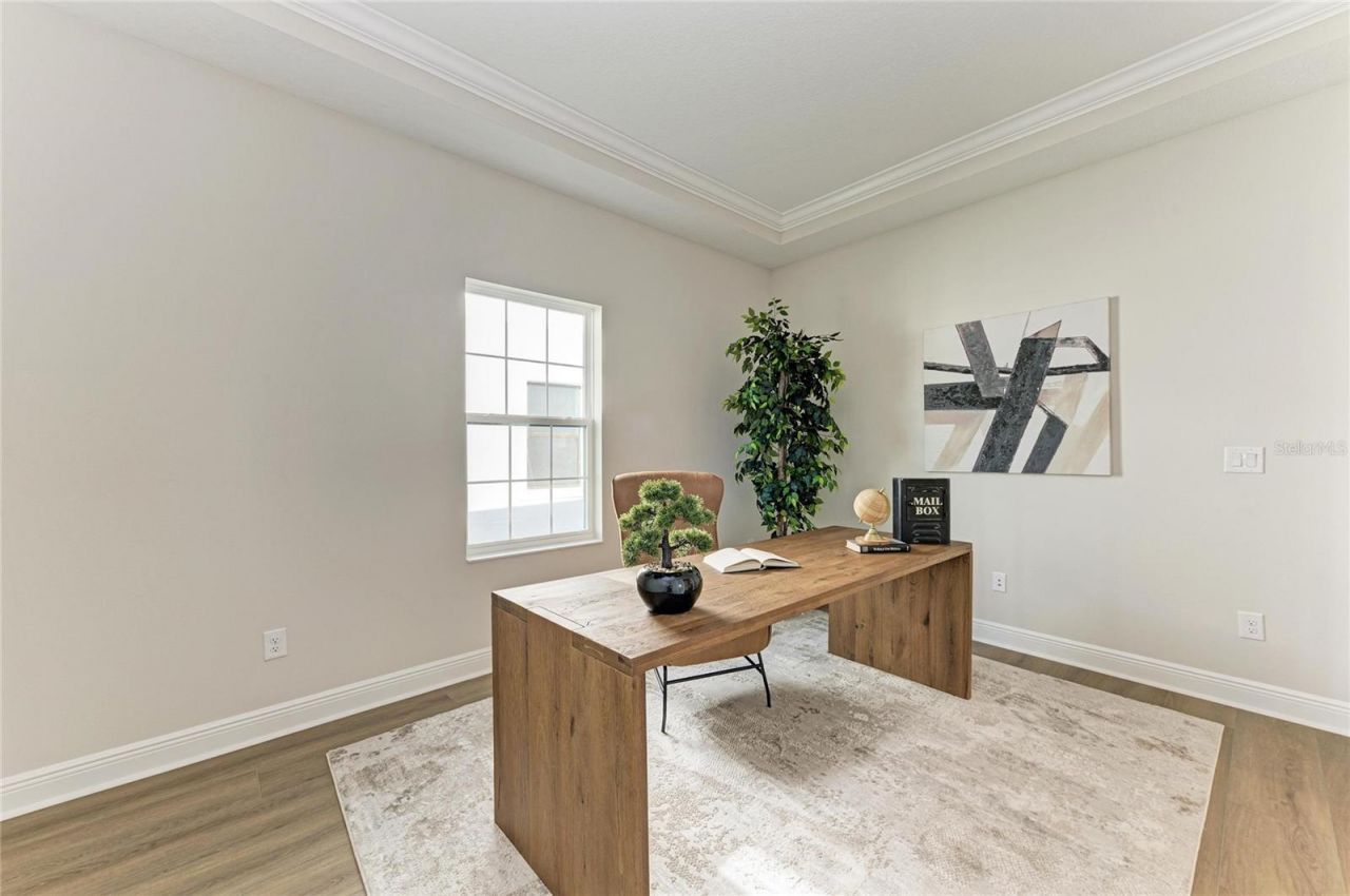 35483 Big Hawk Drive, Zephyrhills, FL 33541 Photo