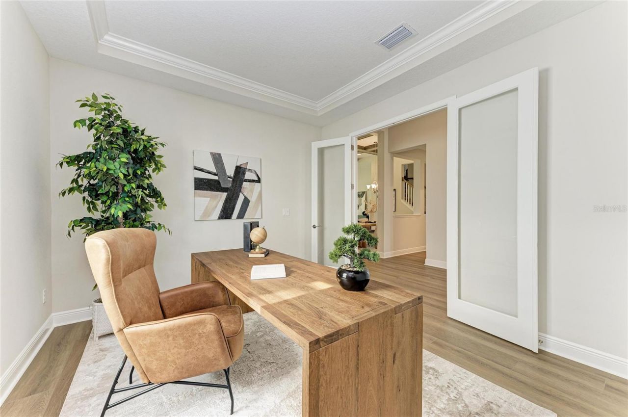 35483 Big Hawk Drive, Zephyrhills, FL 33541 Photo