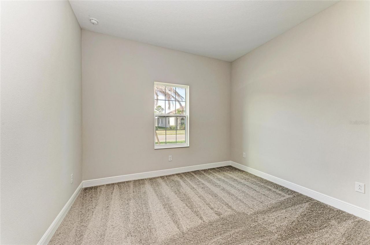 35483 Big Hawk Drive, Zephyrhills, FL 33541 Photo