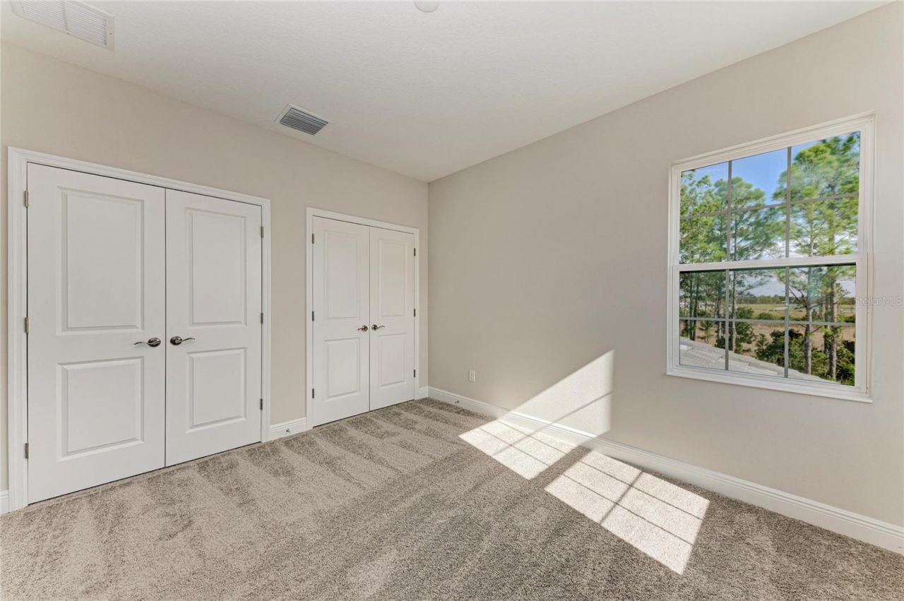 35483 Big Hawk Drive, Zephyrhills, FL 33541 Photo