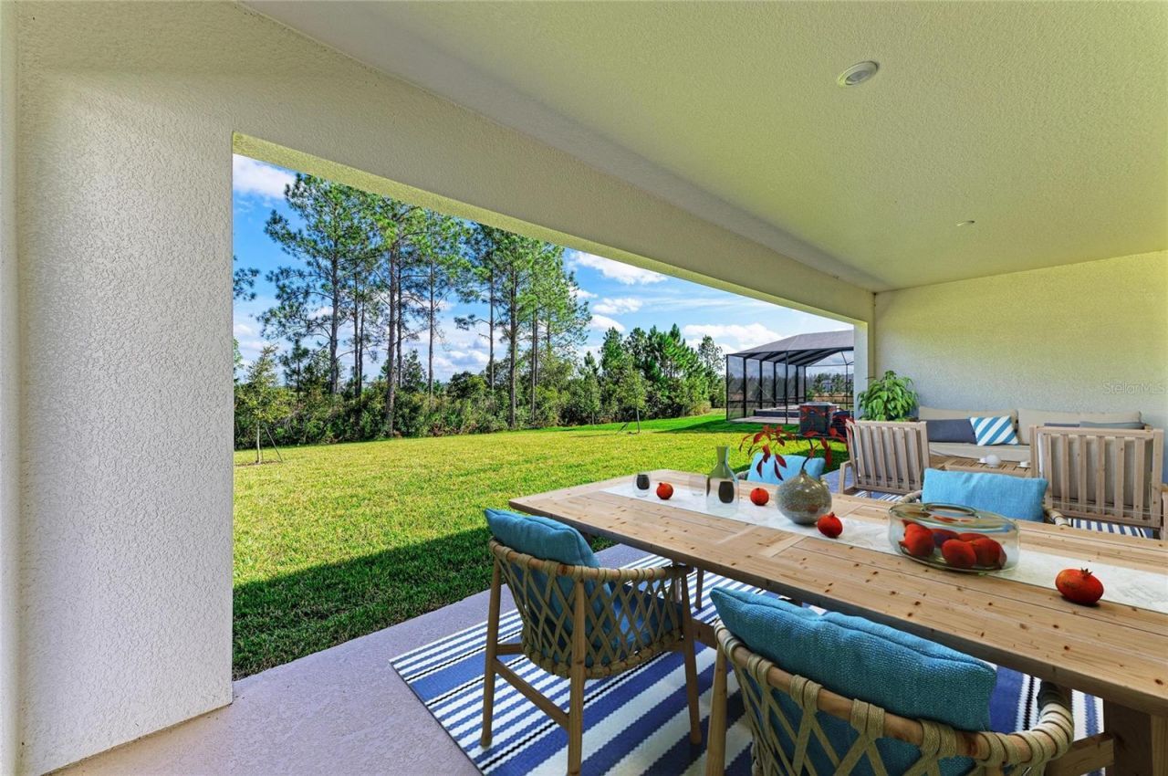 35483 Big Hawk Drive, Zephyrhills, FL 33541 Photo