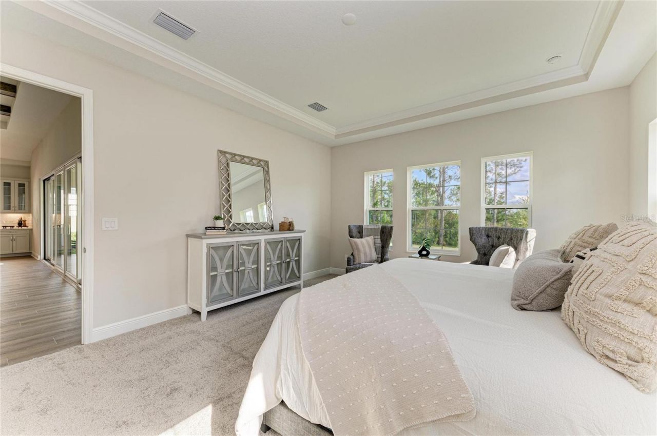 35483 Big Hawk Drive, Zephyrhills, FL 33541 Photo