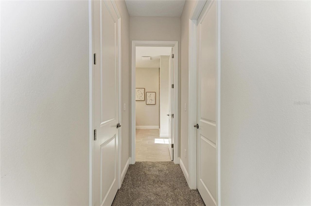 35483 Big Hawk Drive, Zephyrhills, FL 33541 Photo