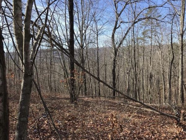 0 Chestnut Oak Drive, Dunlap, TN 37327