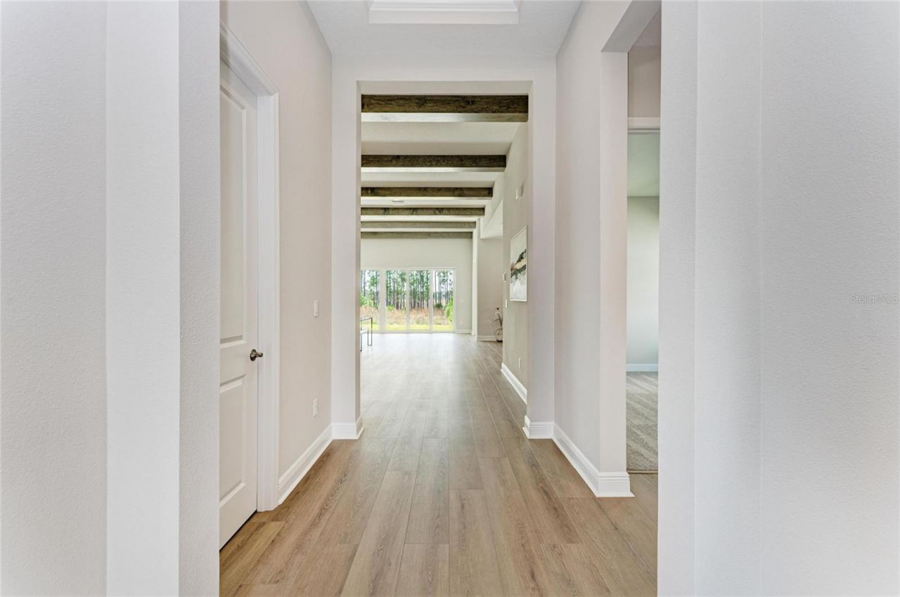 35326 Big Hawk Drive, Zephyrhills, FL 33541 Photo