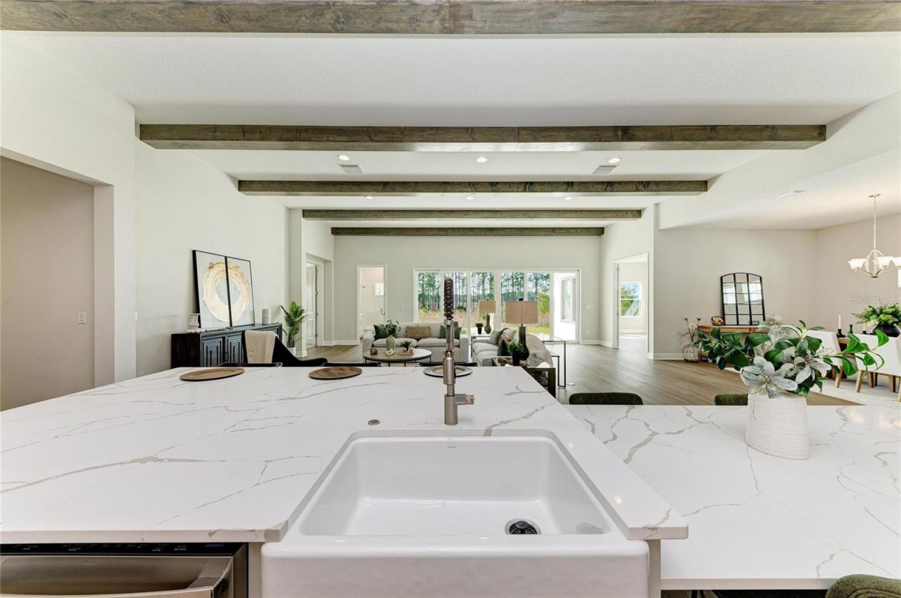 35326 Big Hawk Drive, Zephyrhills, FL 33541 Photo