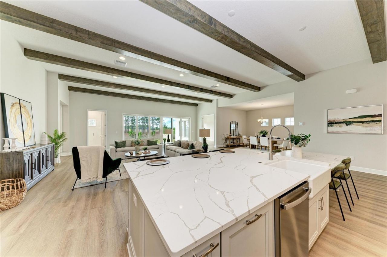 35326 Big Hawk Drive, Zephyrhills, FL 33541 Photo