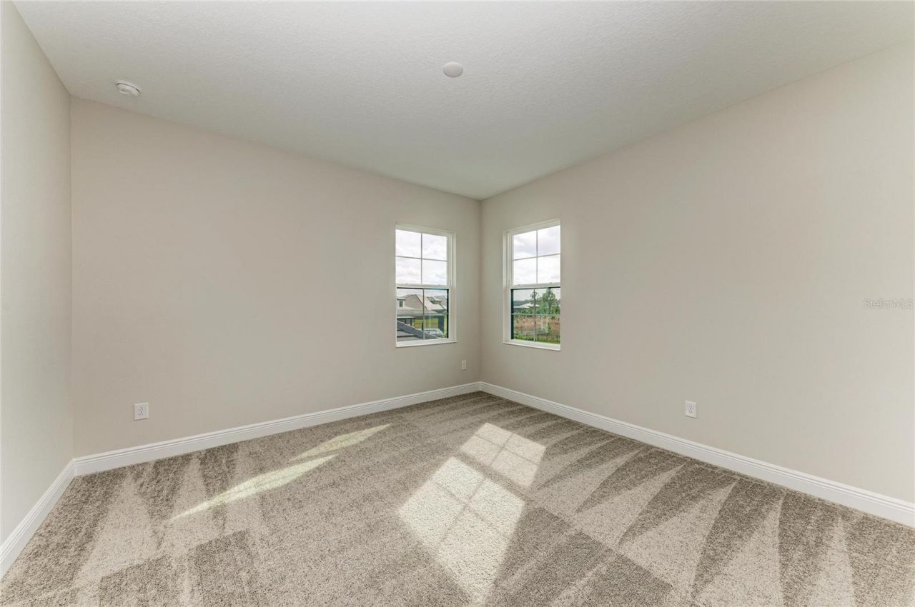 35326 Big Hawk Drive, Zephyrhills, FL 33541 Photo