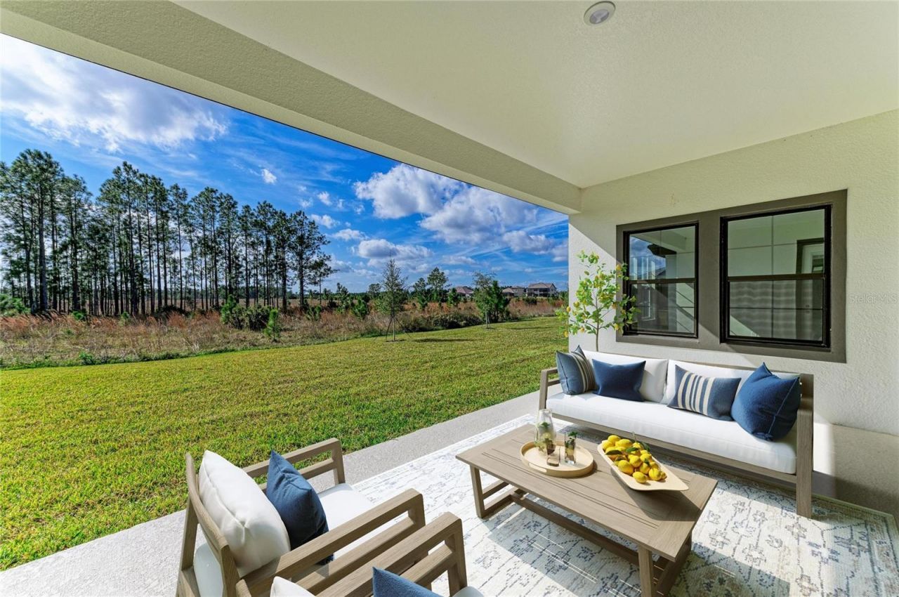 35326 Big Hawk Drive, Zephyrhills, FL 33541 Photo