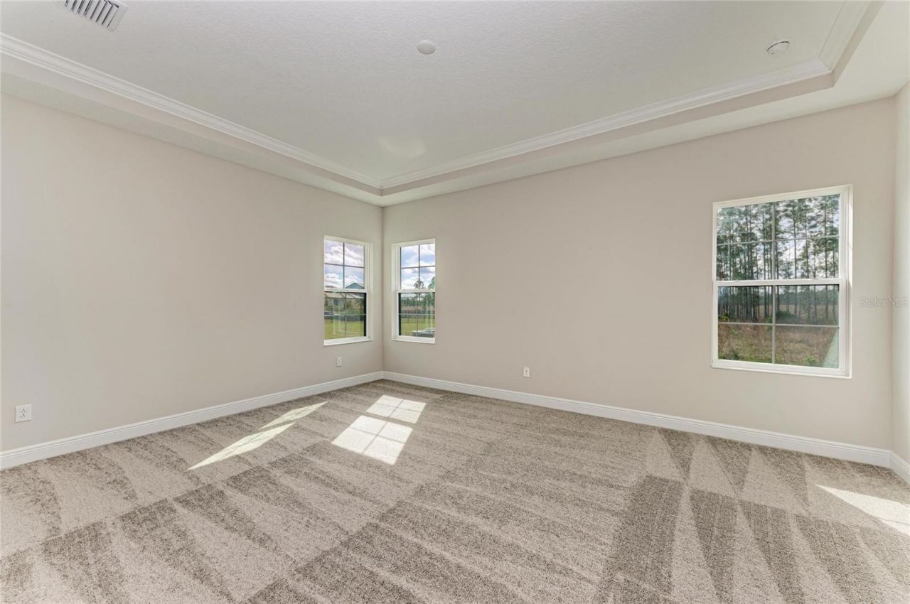 35326 Big Hawk Drive, Zephyrhills, FL 33541 Photo