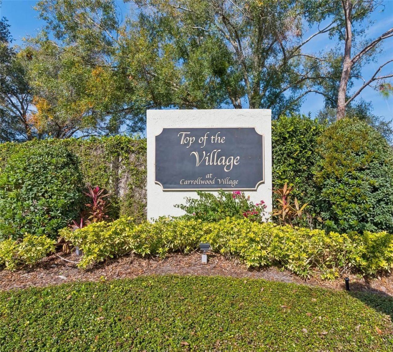 14603 Village Glen Circle, Tampa, FL 33618 Photo