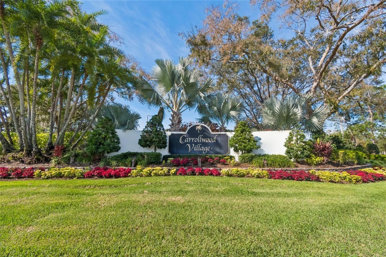 14603 Village Glen Circle, Tampa, FL 33618 Photo