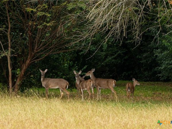 TBD Horseshoe Bend Road , Eddy, TX 76524