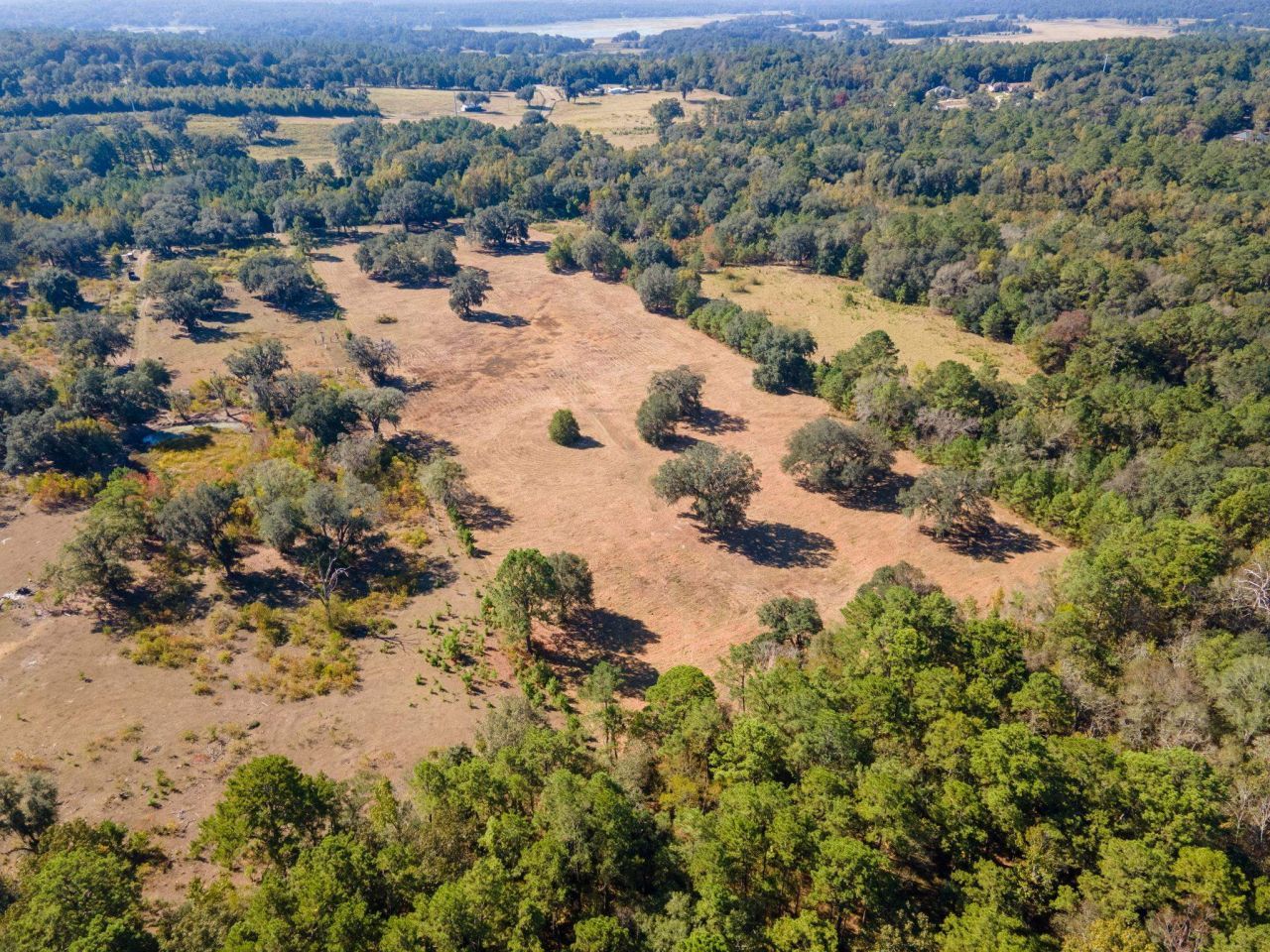 Z Gardners Farm Road , Tallahassee, FL 32312 Photo