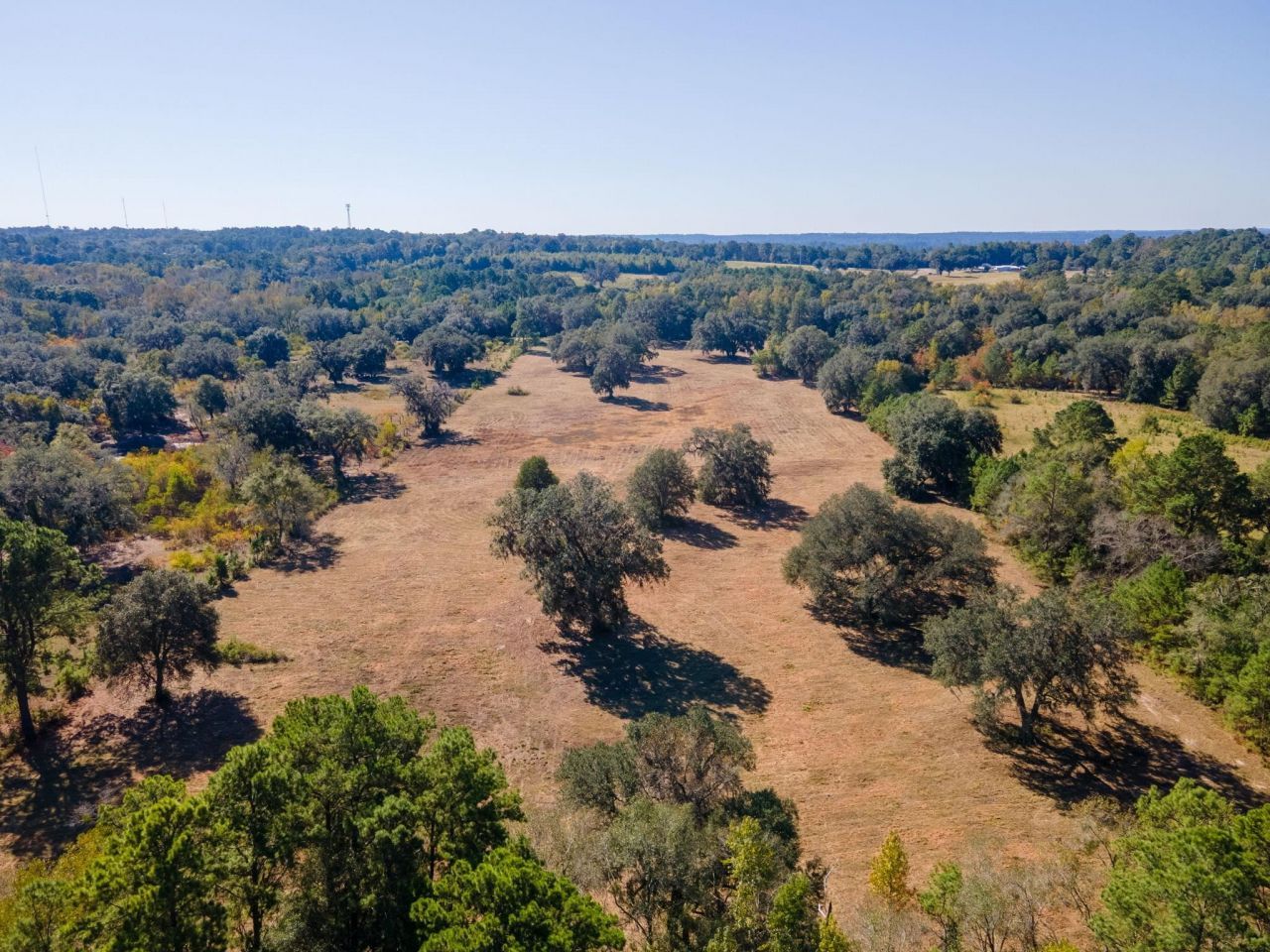 Z Gardners Farm Road , Tallahassee, FL 32312 Photo