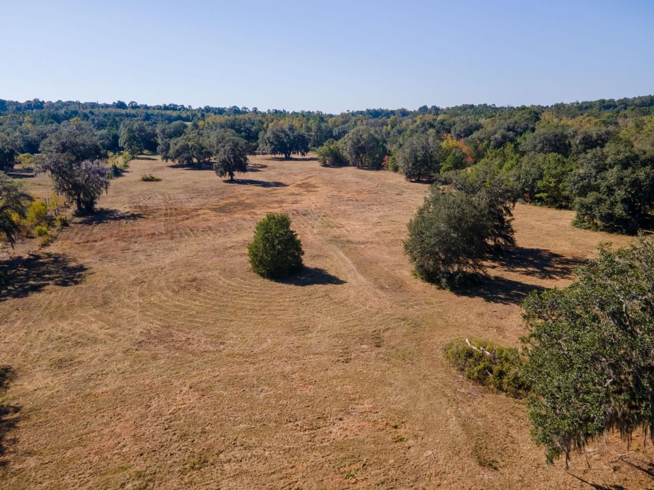 Z Gardners Farm Road , Tallahassee, FL 32312 Photo