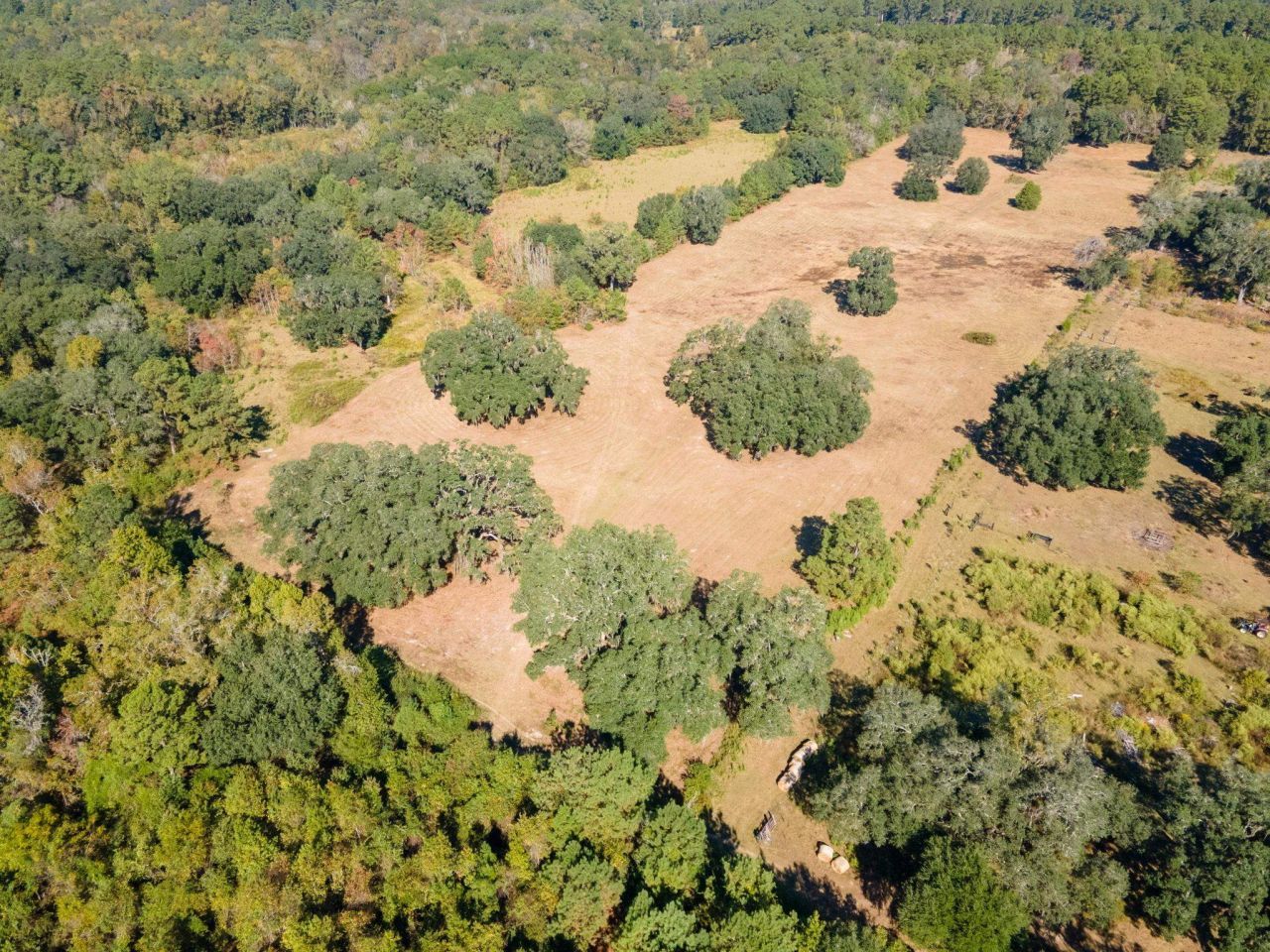 Z Gardners Farm Road , Tallahassee, FL 32312 Photo