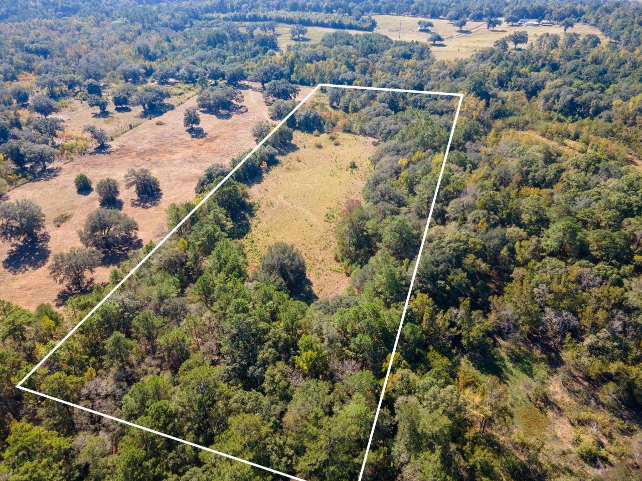 Z Gardners Farm Road , Tallahassee, FL 32312 Photo