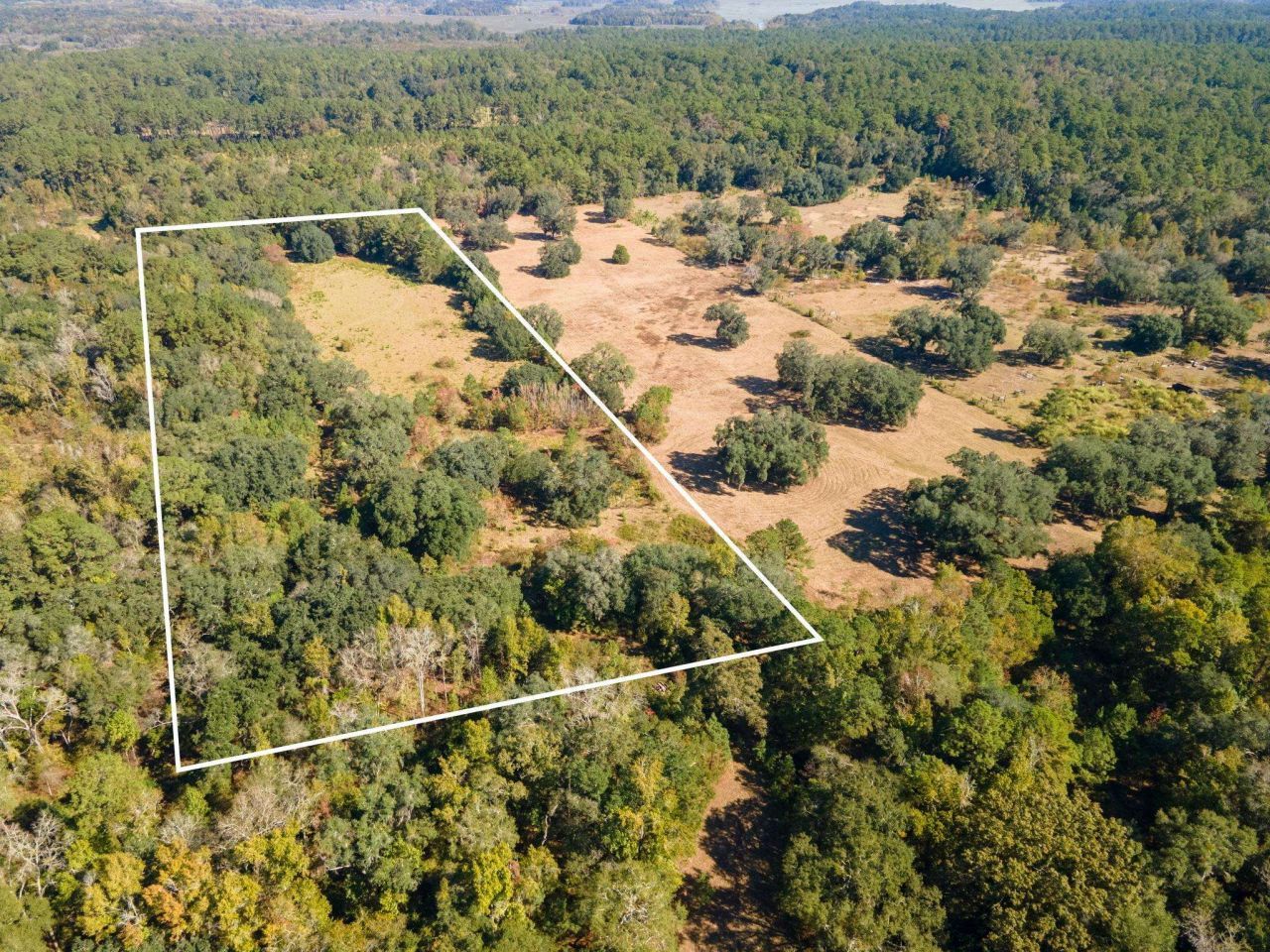 Z Gardners Farm Road , Tallahassee, FL 32312 Photo