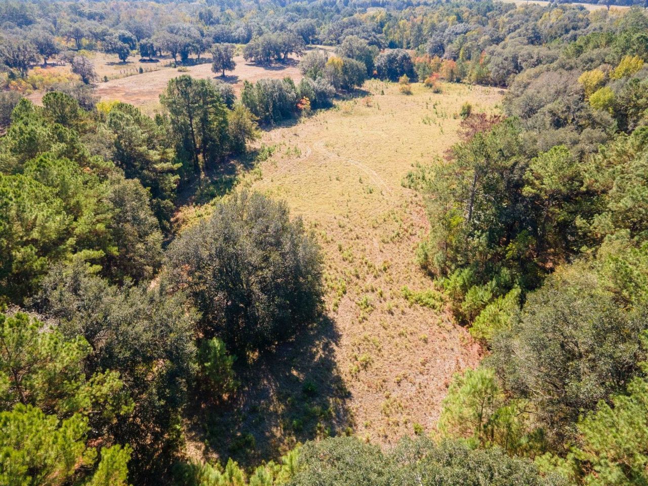 Z Gardners Farm Road , Tallahassee, FL 32312 Photo