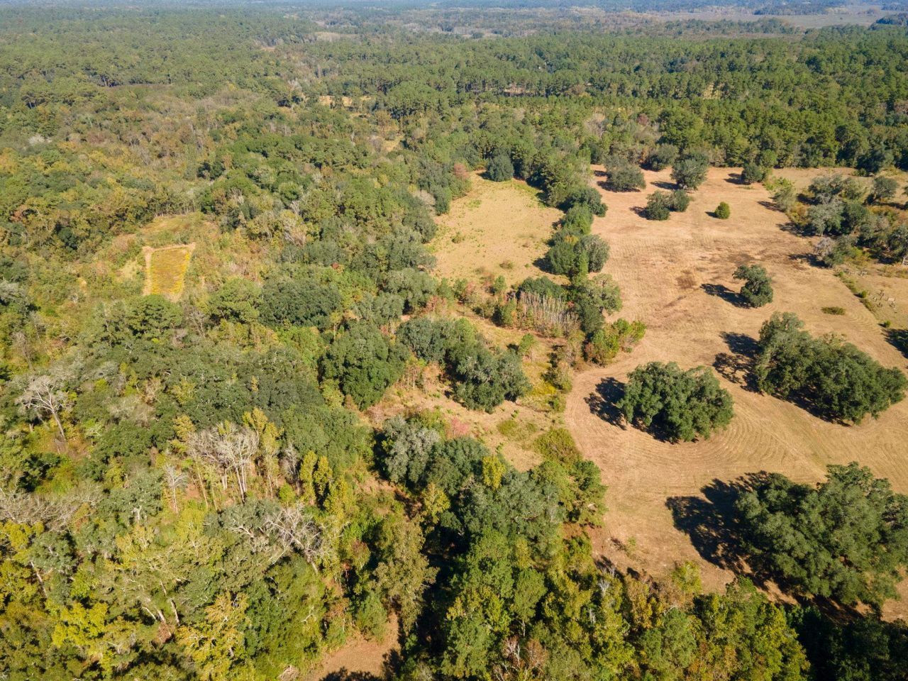 Z Gardners Farm Road , Tallahassee, FL 32312 Photo