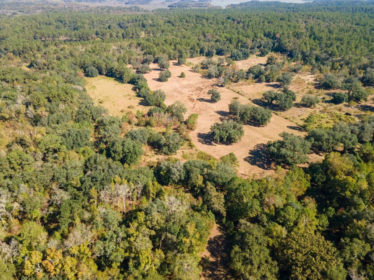 Z Gardners Farm Road , Tallahassee, FL 32312 Photo