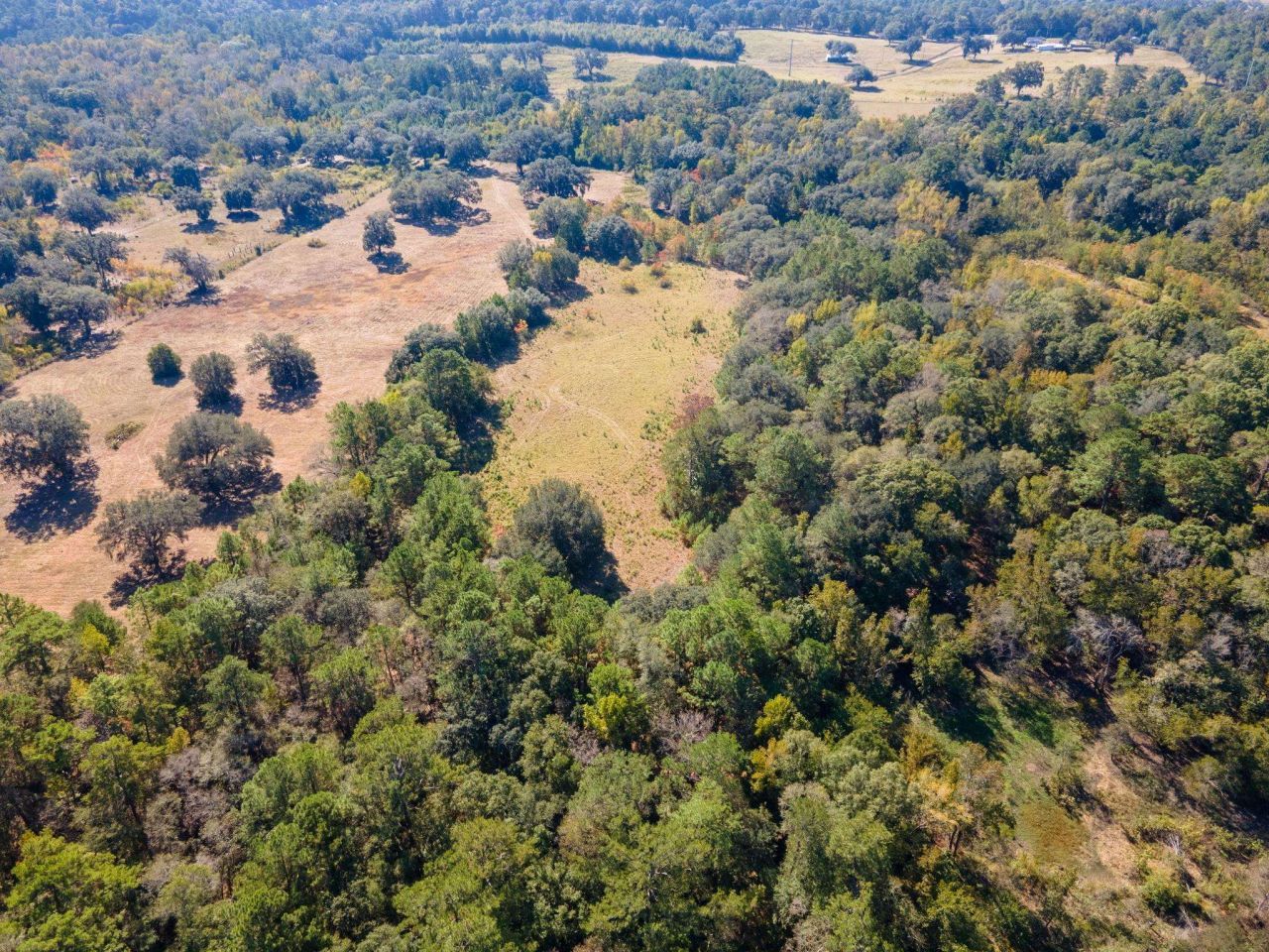 Z Gardners Farm Road , Tallahassee, FL 32312 Photo