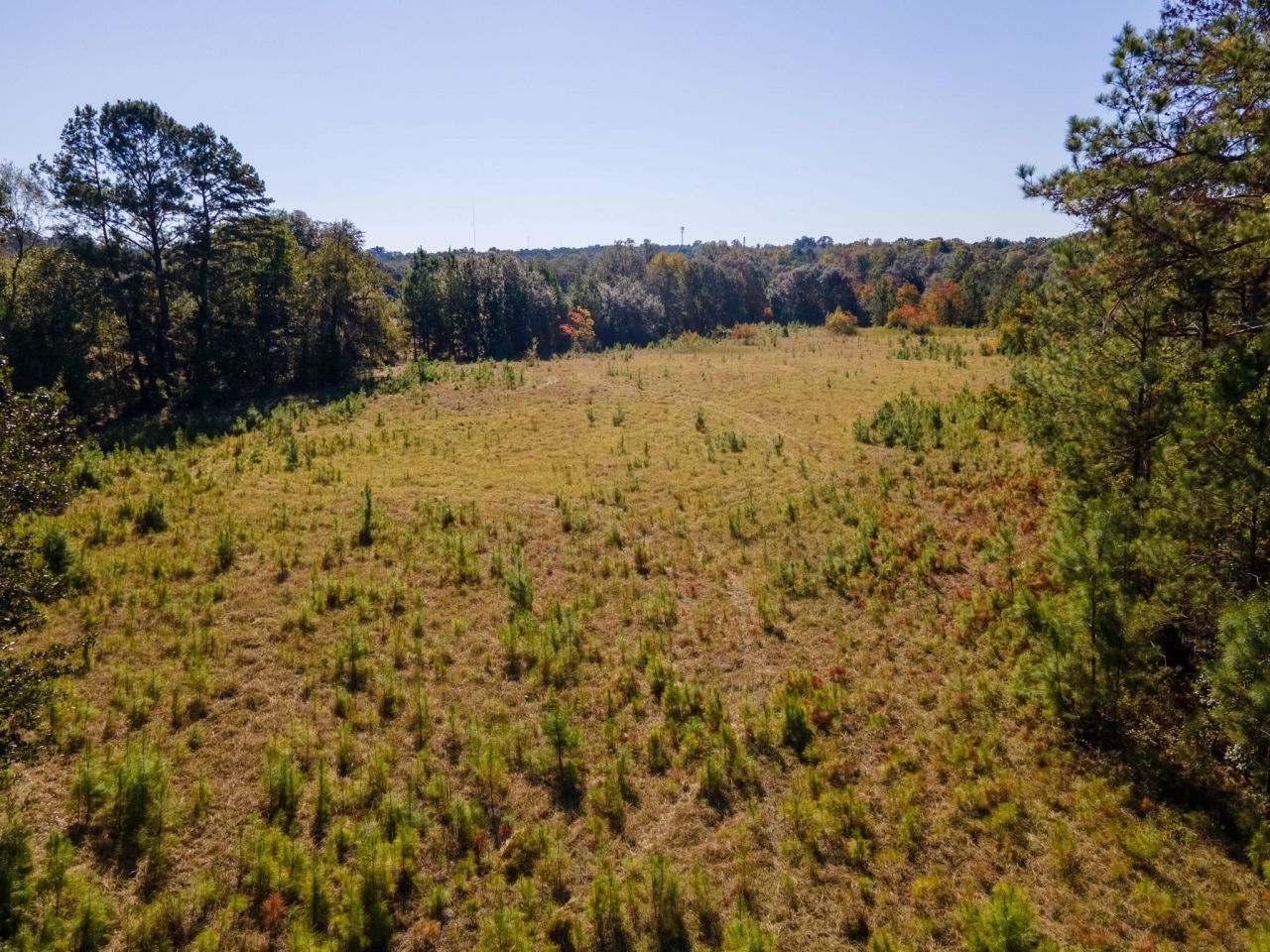 Z Gardners Farm Road , Tallahassee, FL 32312 Photo