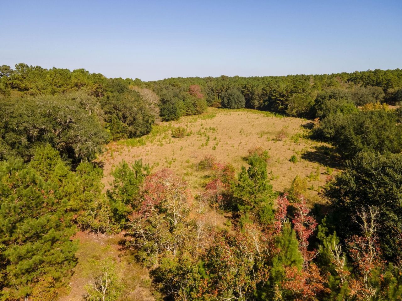 Z Gardners Farm Road , Tallahassee, FL 32312 Photo