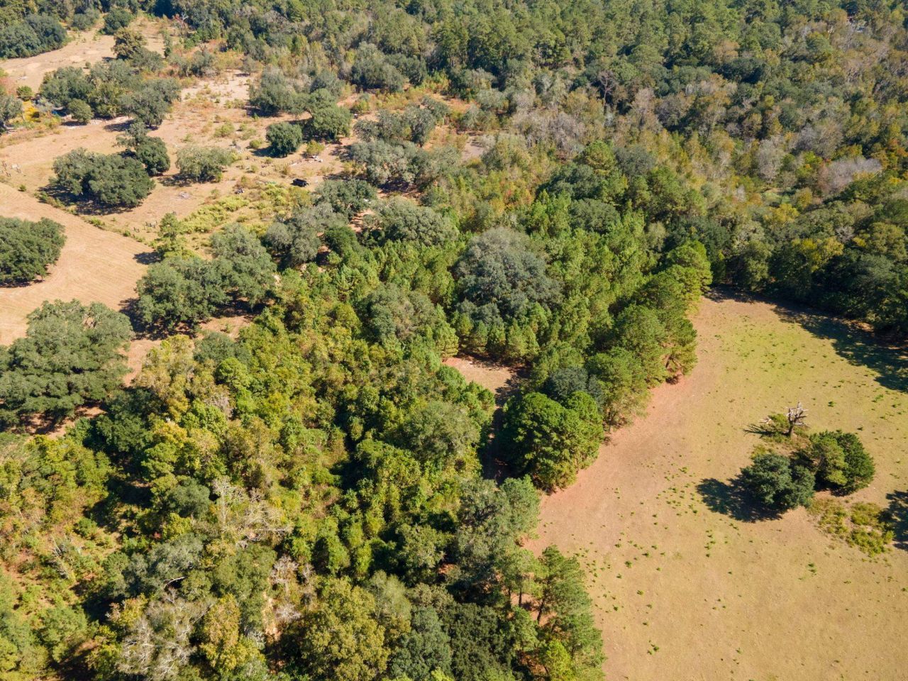 Z Gardners Farm Road , Tallahassee, FL 32312 Photo