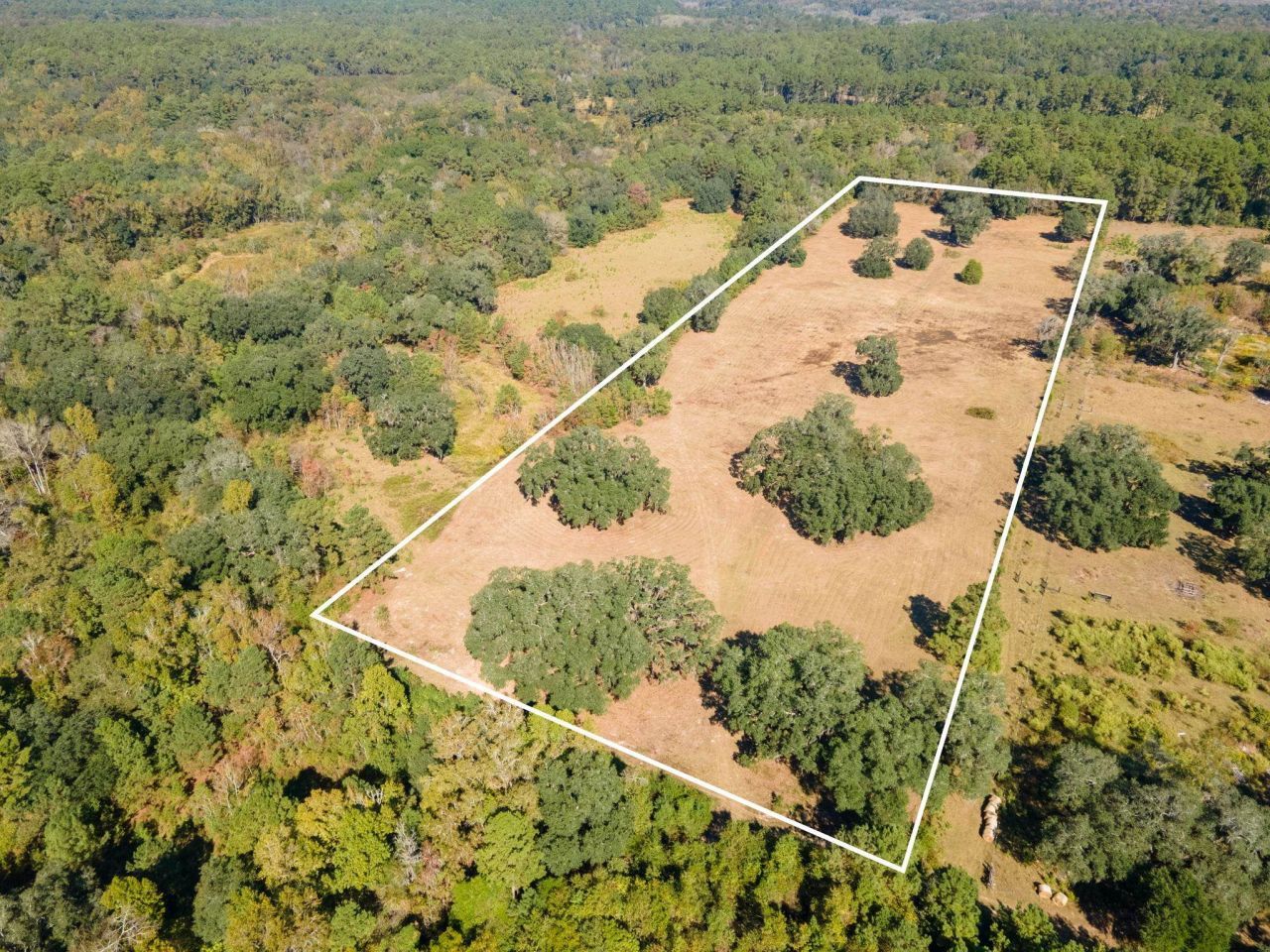 Z Gardners Farm Road , Tallahassee, FL 32312 Photo