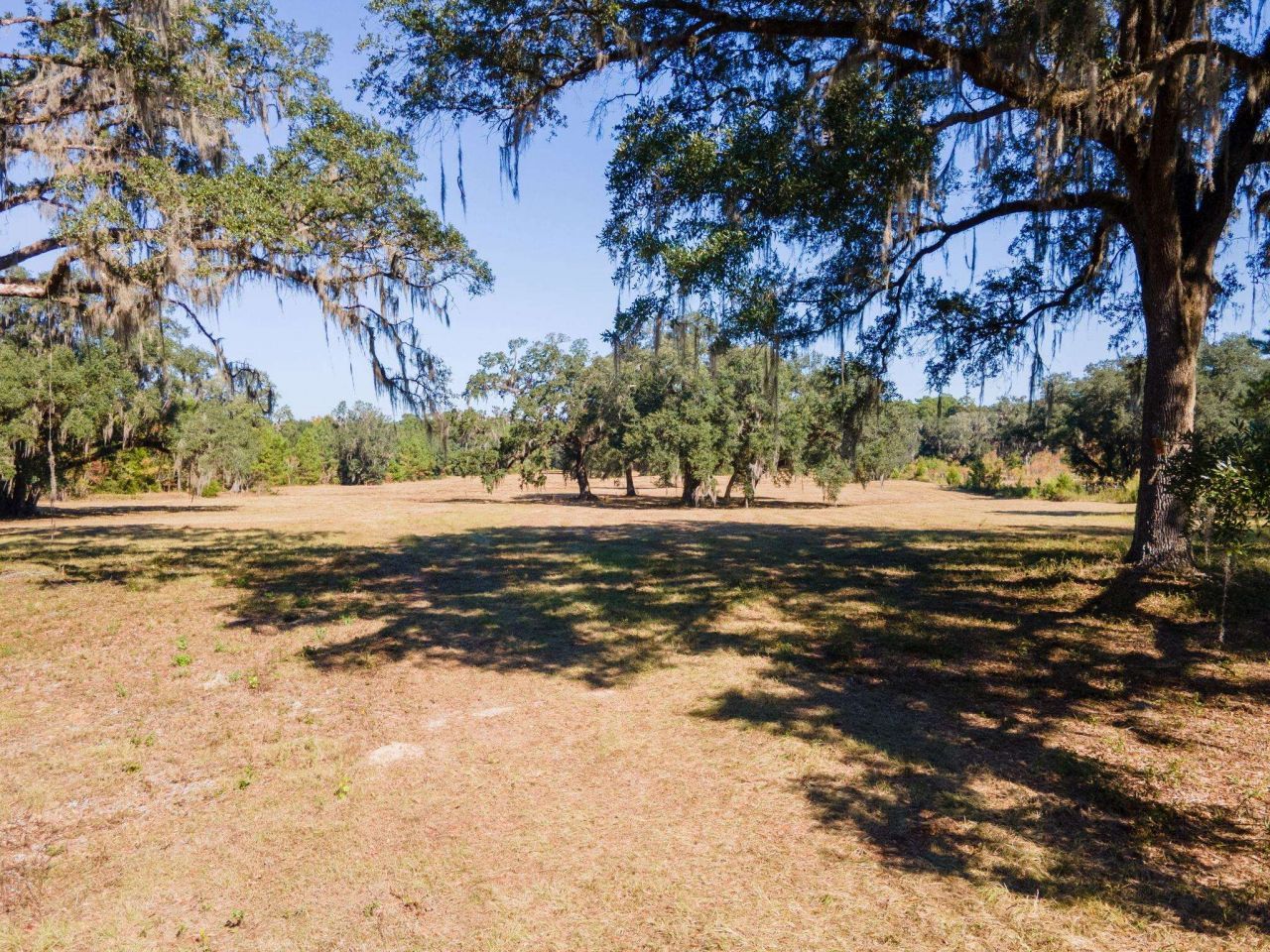 Z Gardners Farm Road , Tallahassee, FL 32312 Photo