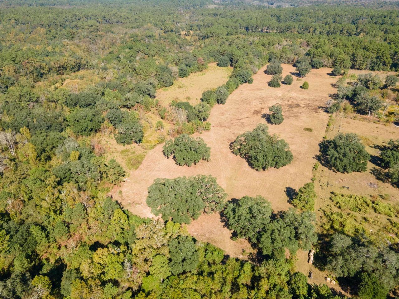 Z Gardners Farm Road , Tallahassee, FL 32312 Photo